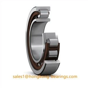 NU 315 ECP/VL0241 INSOCOAT নলাকার রোলার বিয়ারিং