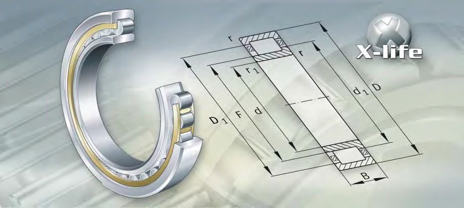 Available NU29/500-M1 Single-Row Cylindrical Roller Bearings factory